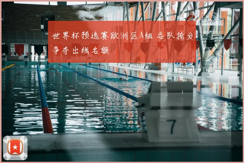 世界杯预选赛欧洲区A组 各队抢分争夺出线名额