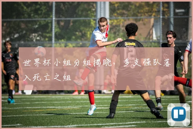 世界杯小组分组揭晓,多支强队落入死亡之组