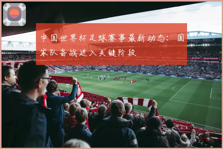 中国世界杯足球赛事最新动态:国家队备战进入关键阶段