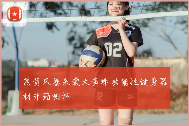 黑黄风暴来袭大黄蜂功能性健身器材开箱测评
