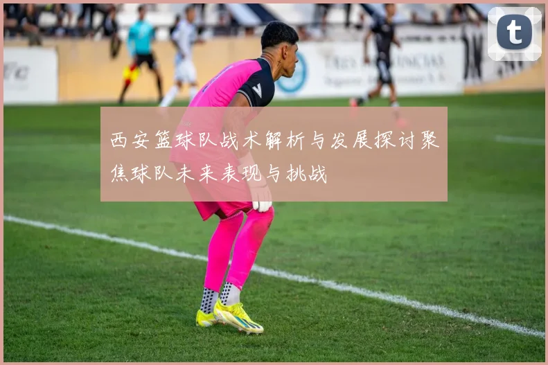 西安篮球队战术解析与发展探讨聚焦球队未来表现与挑战