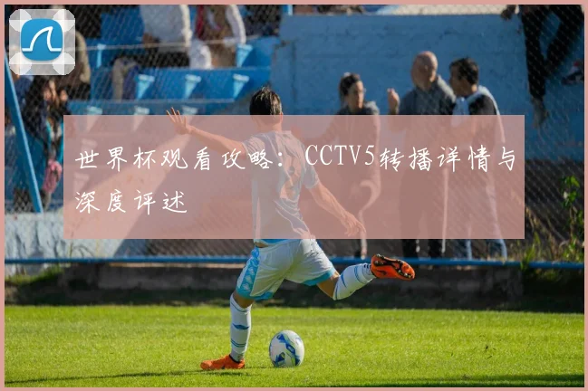 世界杯观看攻略：CCTV5转播详情与深度评述
