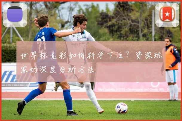 世界杯竞彩如何科学下注?资深玩家的深度分析方法
