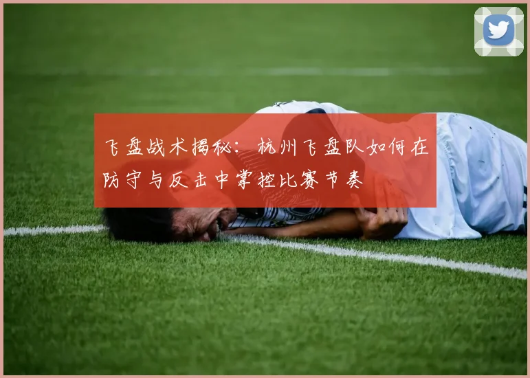 飞盘战术揭秘:杭州飞盘队如何在防守与反击中掌控比赛节奏